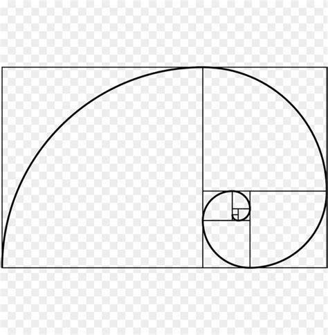 Golden Ratio Face Template Transparent Png Faces Were Considered Most