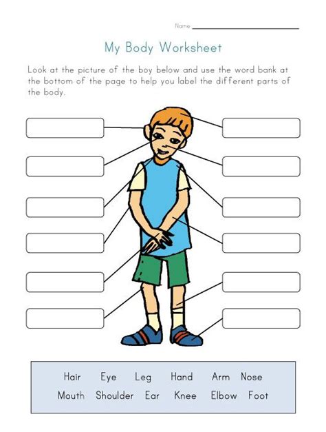 Label Parts Of Body Worksheet