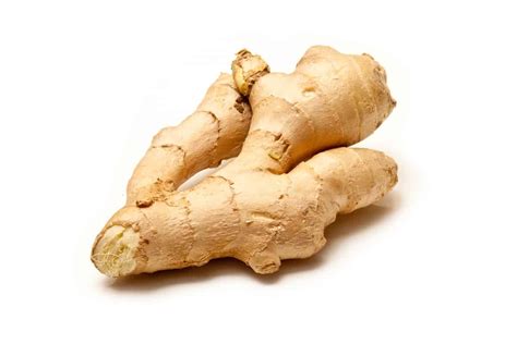 Buying And Storing Fresh Ginger A Well Seasoned Kitchen