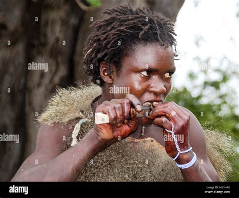 a hadza hunter returns to the village with a his hunted prey photographed at lake eyasi
