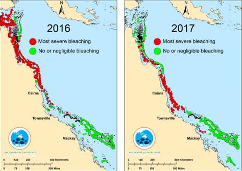 Great Barrier Reefs Third Mass Bleaching In Five Years The Most