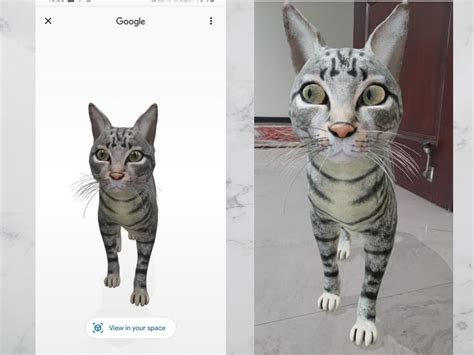 Adding street view and a 3d view to a google earth project. Google 3D Tigers | Google's AR animals: You can get a 3D ...