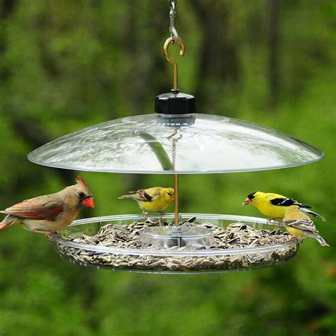 Shop target for bird baths, houses & feeders you will love at great low prices. Droll Yankees Covered Platform Bird Feeder | Wayfair