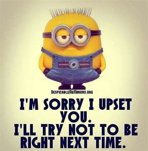 Im Sorry Minions Funny Bones Funny Sign Quotes