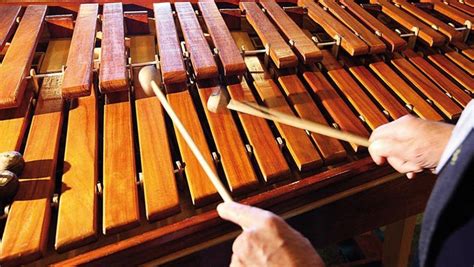 Instrumentos De La Marimba