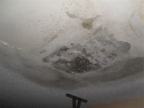 Cleaning mold to improve the condition of an unfinished wood surface. Health Hazards of Black Mold? | ThriftyFun