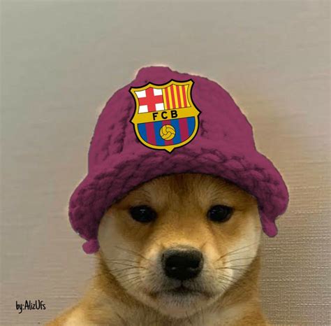 A Brown Dog Wearing A Purple Hat With The Barcelona Crest On Its Side