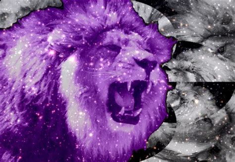 Purple Lions Roar Too By Patterned Cats On Deviantart