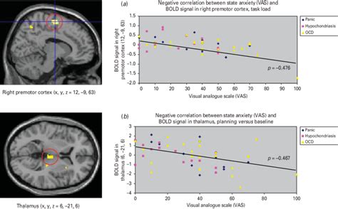 Activation In The Dorsolateral Prefrontal Cortex A Correlates