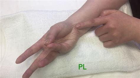 Palpation Assessment On Wrist And Hand Youtube