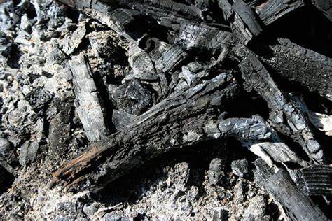 How Burning Wood Ash Can Be Of Huge Help
