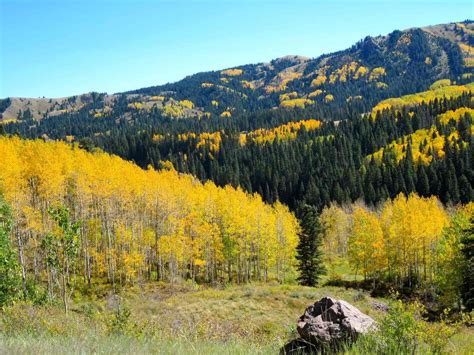 Maybe you would like to learn more about one of these? Chama, New Mexico | Travel new mexico, New mexico usa, Scenic