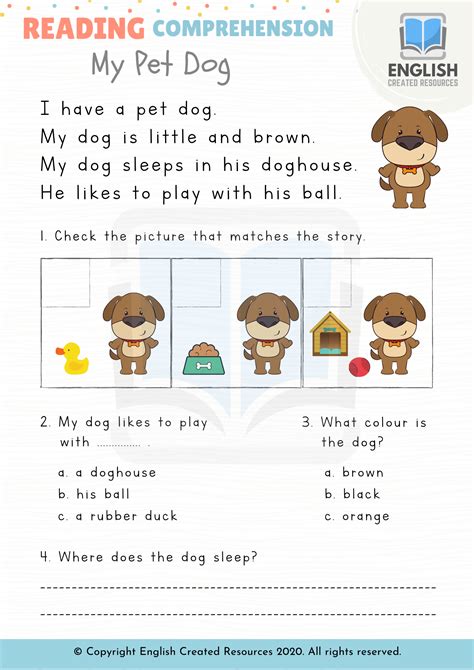 Reading Comprehension Grade 1 English Created Resources