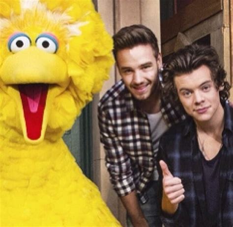 My Personal Lifestyle One Directions Cool Spent On Sesame Street Sesame Street Cool Stuff