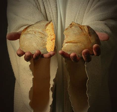I Am The Bread Of Life What Did Jesus Mean In John