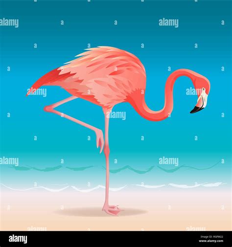 Exotic Pink Flamingo Walking On The Hot Summer Beach Pink Flamingo
