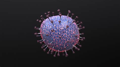 Many eu/eea countries have started to observe a. coronavirus COVID-19 3D model OBJ FBX MA 3B MEL
