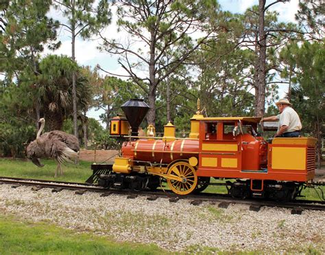 St Louis Zoo Train Ride Stanford Center For Opportunity Policy In