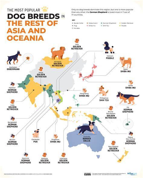 This Map Reveals The Most Popular Dog Breeds In Each Country