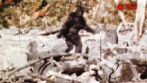 Bigfoot Captured Episodes Video And Schedule