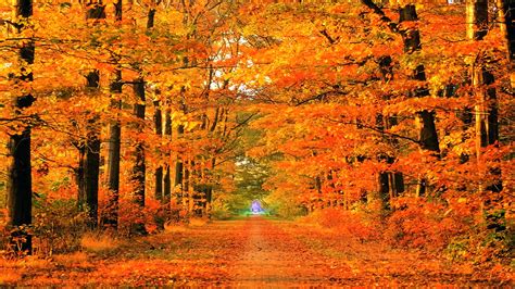 48 Beautiful Fall Scenery