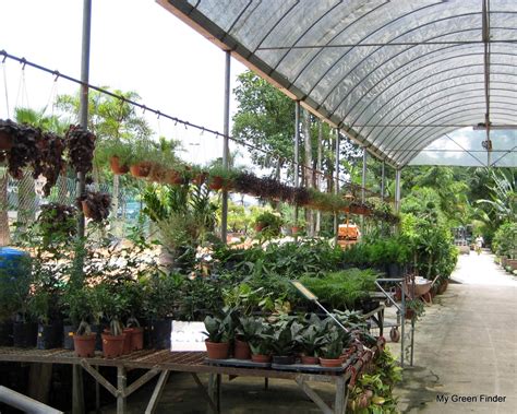 Bietet eine unterkunft in kangar. MY GREEN FINDER | Plant Vendors: SMM Landscape Sdn Bhd