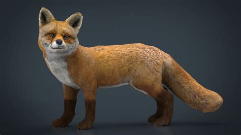 3d Model Realistic Fox Vr Ar Low Poly Cgtrader