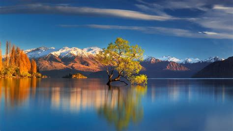 Lago Wanaka Nueva Zelanda árbol Solitario árbol Solitario Lago
