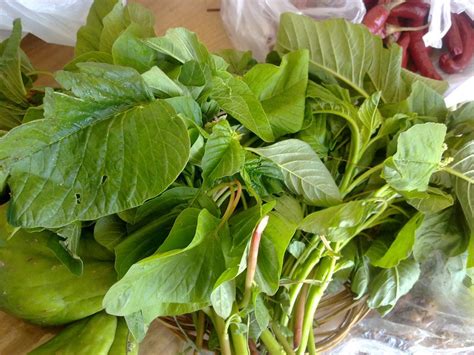 Apalagi bayam adalah sayuran superfood yang nutrisinya ada banyak sekali. Sayur bening Bayam (Indonesian Green Amarant Clear Soup ...
