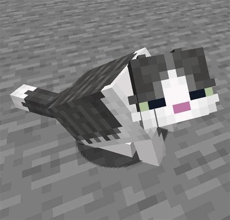 Fat Cat Optifine 12021201120119211911191181171