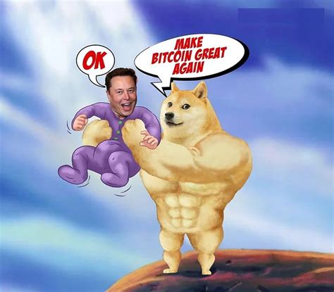 Buff Doge Coin Meme Token Pengikut Dogecoin