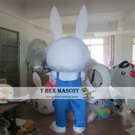 Rabbit Boy Mascot Costume