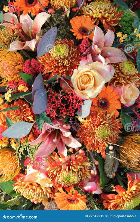 Autumn Bouquet Stock Image Image Of Composition Flowers 27642915