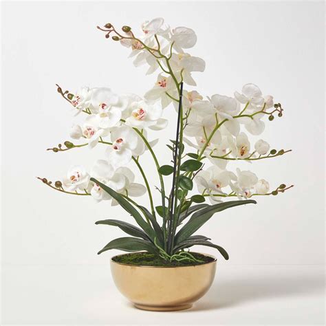 Orchid E Artificielle Blanche En Pot C Ramique Dor Cm