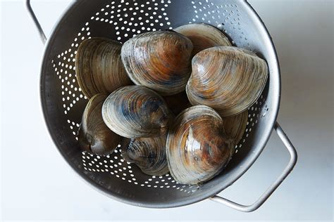 All About Clams Seafood Varieties