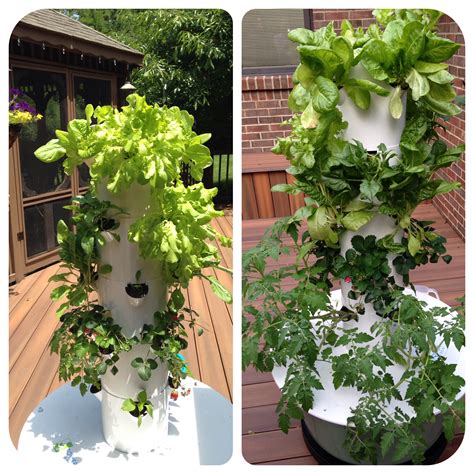 Try Hydroponic Gardening For Fresh Vegetables Throughout The Summer