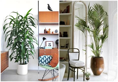 See more of decoración con plantas on facebook. 30 imágenes de inspiración para decorar con macetas | Plantas