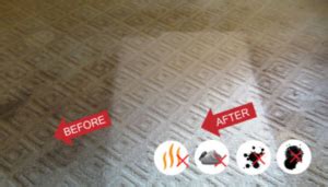 Dependable and flawless carpet cleaning in american canyon, ca, 94503. Steam Carpet Cleaning Services - Canyon Carpet Cleaning ...