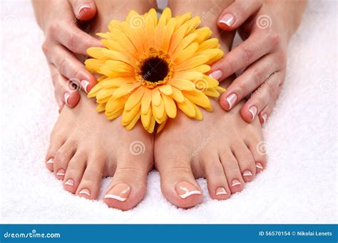 Beautiful Feet With Perfect Spa French Nail Stock Photo Image Of Care