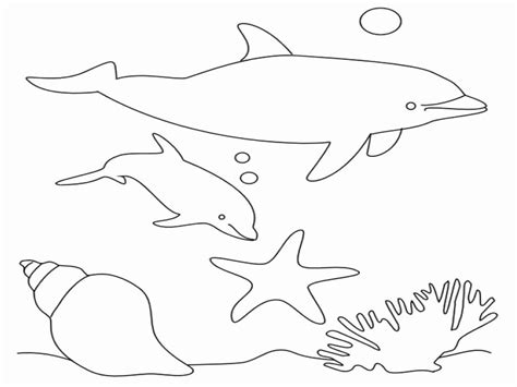 Pin On Coloring Page Ideas For Kids