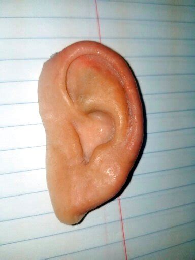 Florida police find prosthetic ear owner after Facebook ...