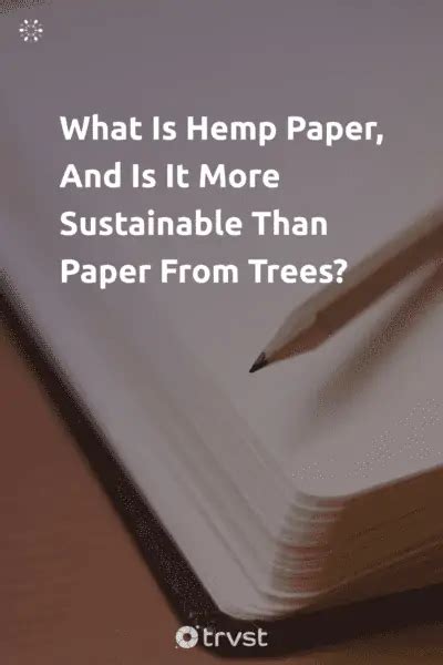 What Is Hemp Paper Sustainability Vs Paper From Trees