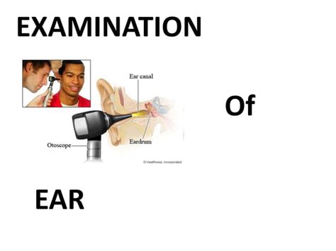 Examination Of Ear Ppt