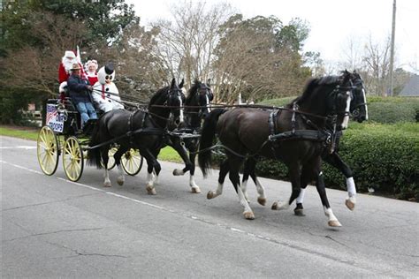 2009 Southern Pines Carriage Parade Is Yo Flickr