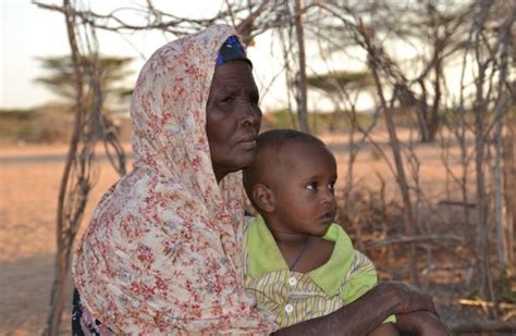 Check spelling or type a new query. Food Crisis Hits Horn of Africa - GlobalGiving