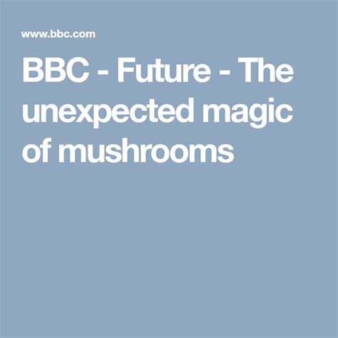 The Unexpected Magic Of Mushrooms Stuffed Mushrooms Unexpected Enzymes