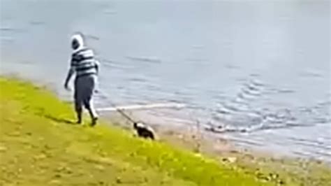 Alligator Kills 85 Year Old Woman Walking Her Dog By Lake