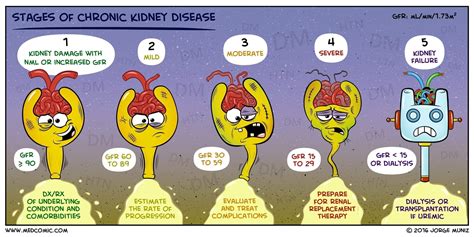 Get Life Insurance With Kidney Disease In Ireland Lionie