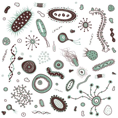 Download High Quality Bacteria Clipart Microorganism Transparent Png Images Art Prim Clip Arts