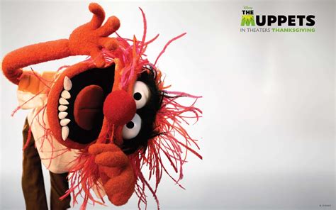 100 Fondos De Fotos De Animal Muppet